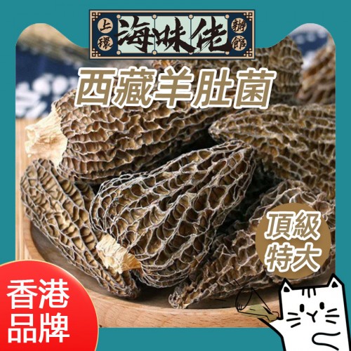 頂級特大西藏羊肚菌 2兩裝