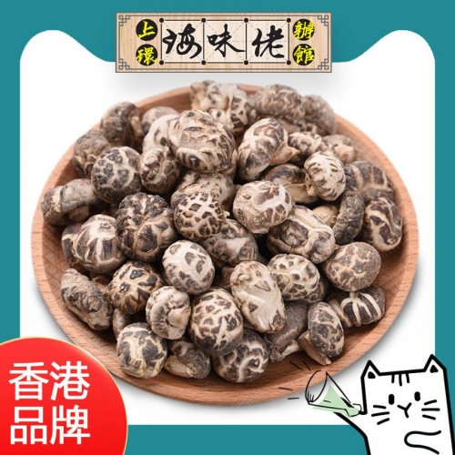 頂級日本種原木一口白花菇 (日本品種，中國培植)